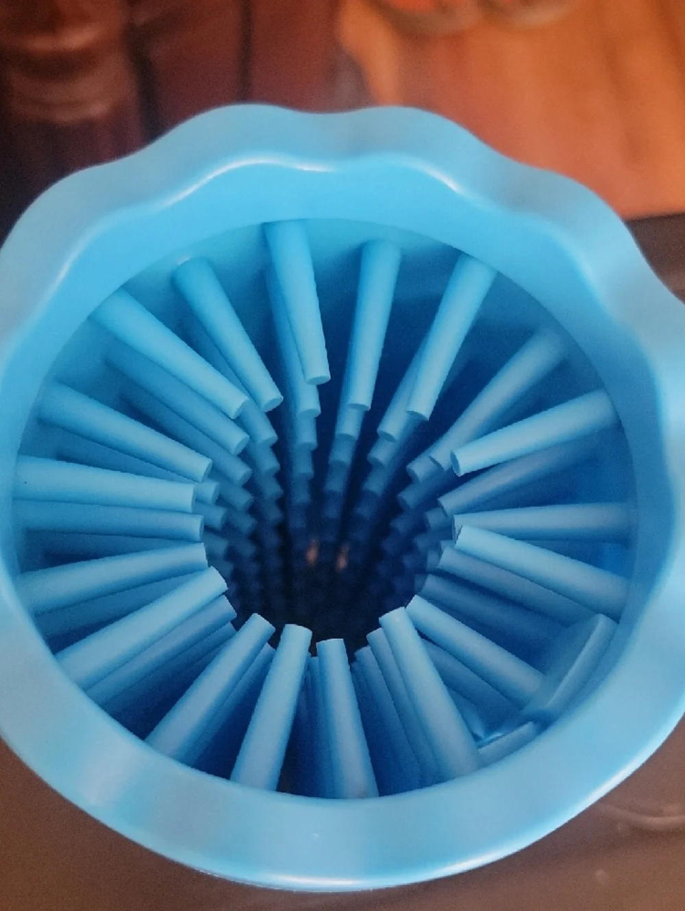 Paw Cleaner